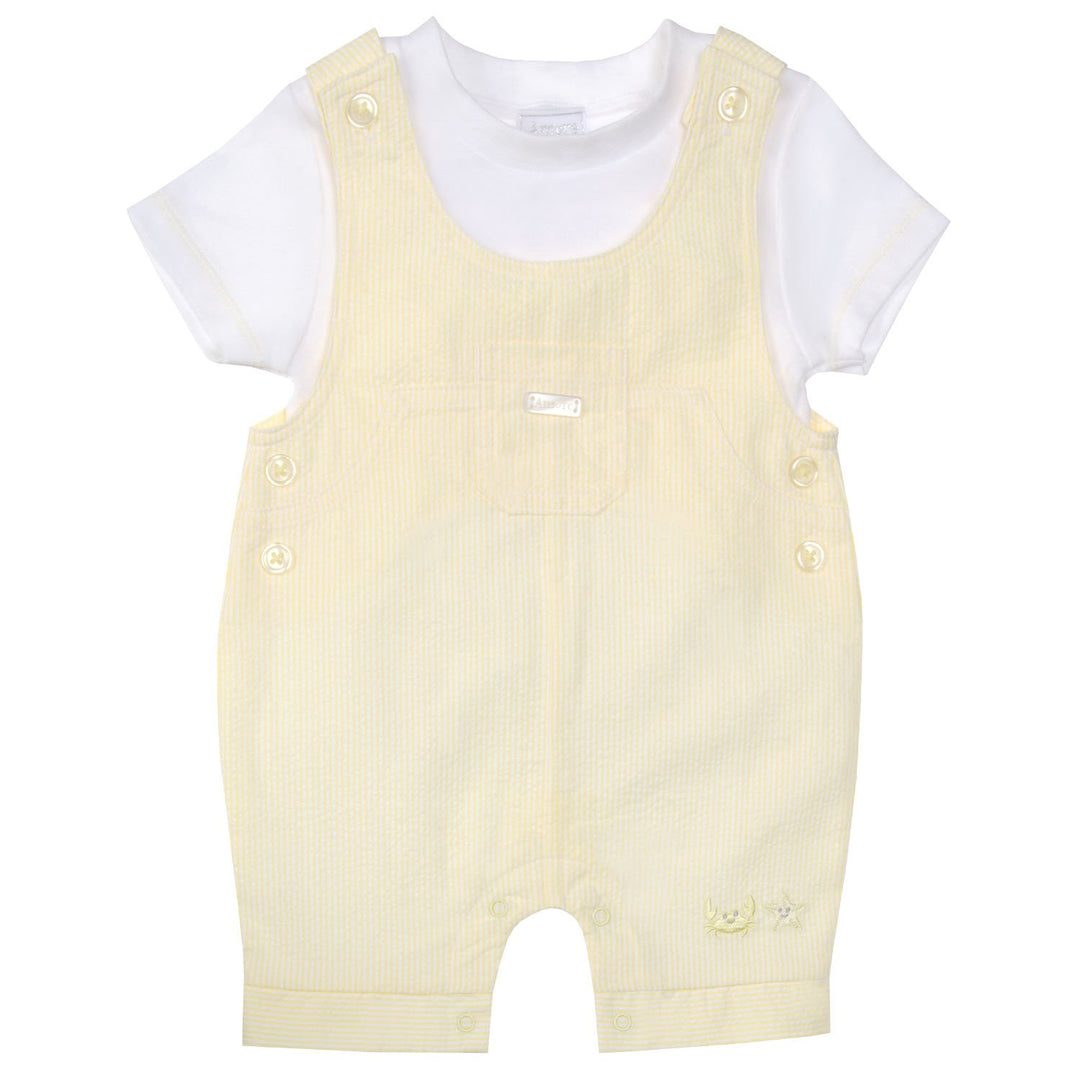 Boys Two Piece Lemon & White Dungaree & Top Set - 8047