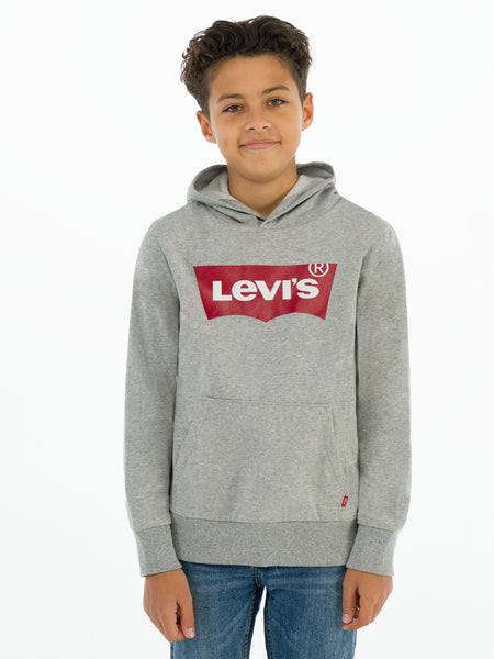 Levi's Grey & Red Screenprint Hoodie - 8E8778-C87