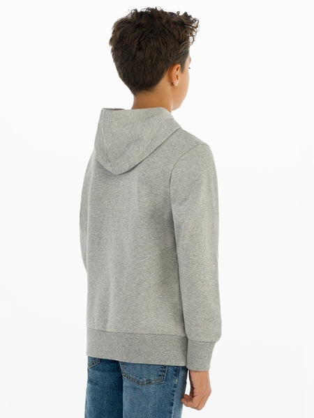 Levi's Grey & Red Screenprint Hoodie - 8E8778-C87