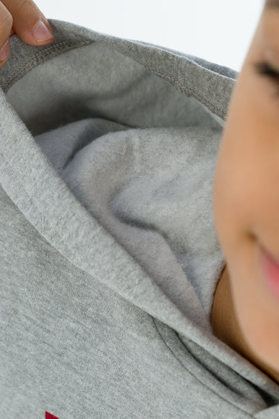 Levi's Grey & Red Screenprint Hoodie - 8E8778-C87