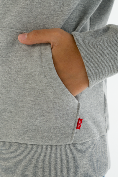 Levi's Grey & Red Screenprint Hoodie - 8E8778-C87