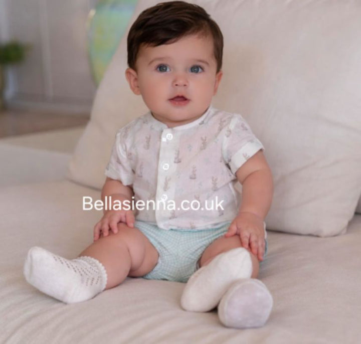 Miranda Baby Boys Ivory & Green Check Bunny Rabbit Print Shirt & Shorts Set - 0038/23