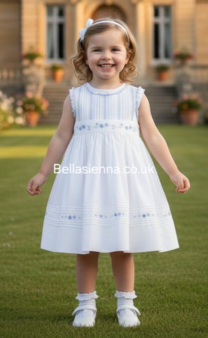 Sarah Louise White & Blue Dress - 012911