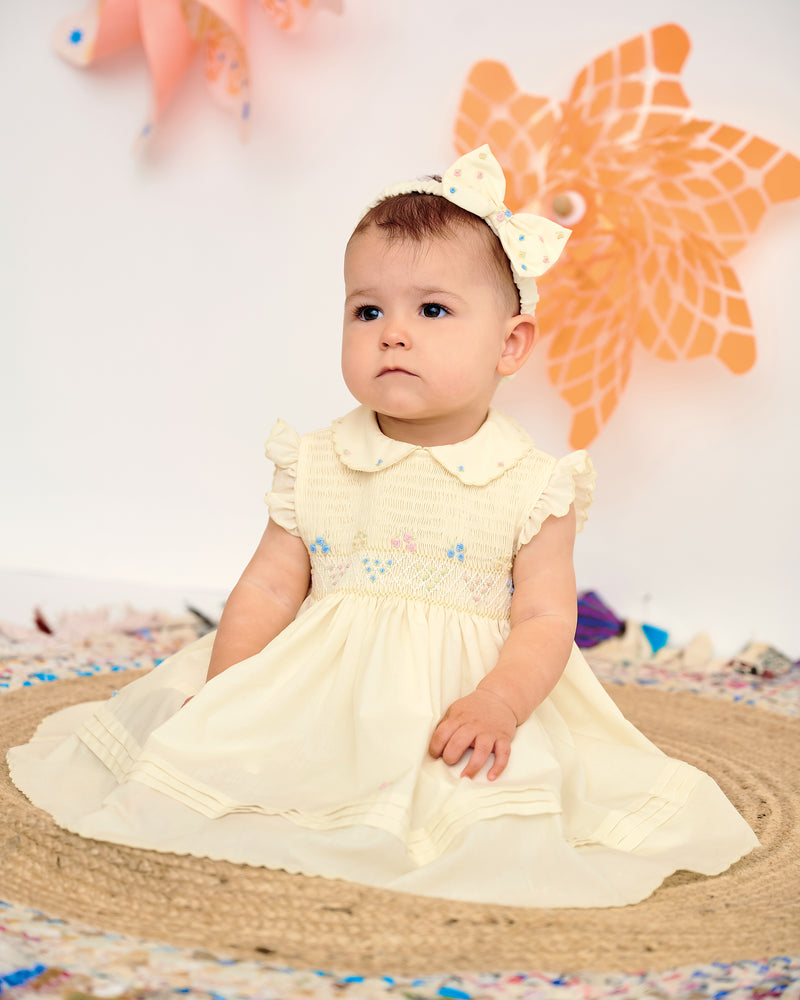 Lemon sarah louise dress 2025