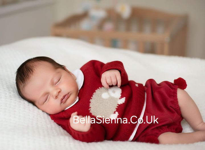 Yoedu 3 Piece Unisex Hedgehog Set In Red 0201