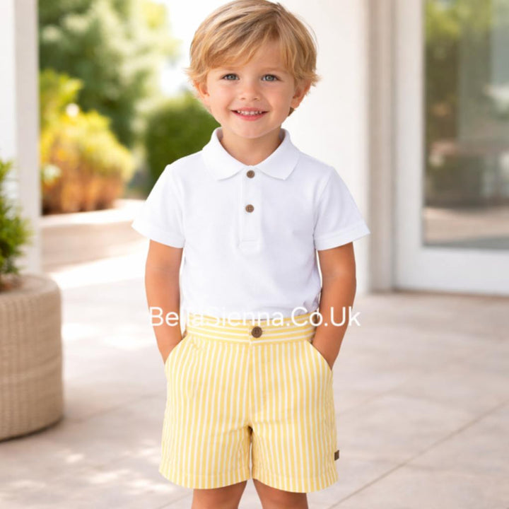 Calamaro Boys Lemon & White Striped Shorts & T-shirt Set - 11111