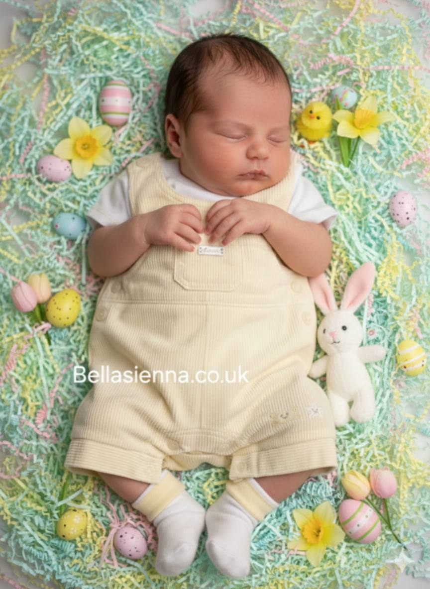 Boys Two Piece Lemon & White Dungaree & Top Set - 8047