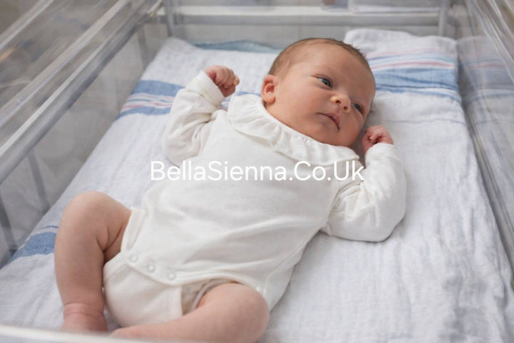 Rapife Ivory Long Sleeved Frill Collared Vest Bodysuit - 902