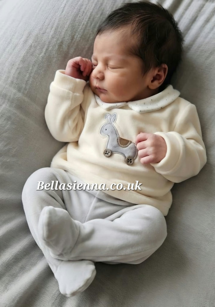 Baby Boys Velour Two Piece Outfit - 2518