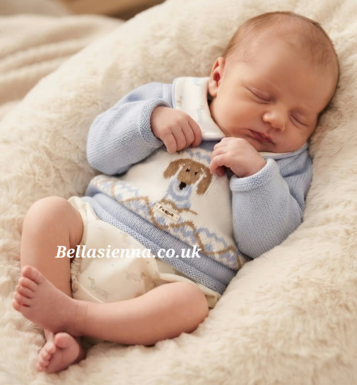 Foque Dachshund Blue Jumper & Jam Pants Set Sausage Dog - 2224514