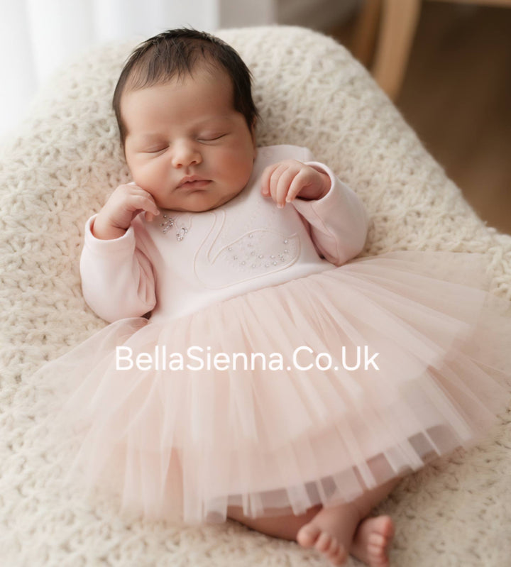 Sofija Swan Tutu Dress - Karmen - Pink