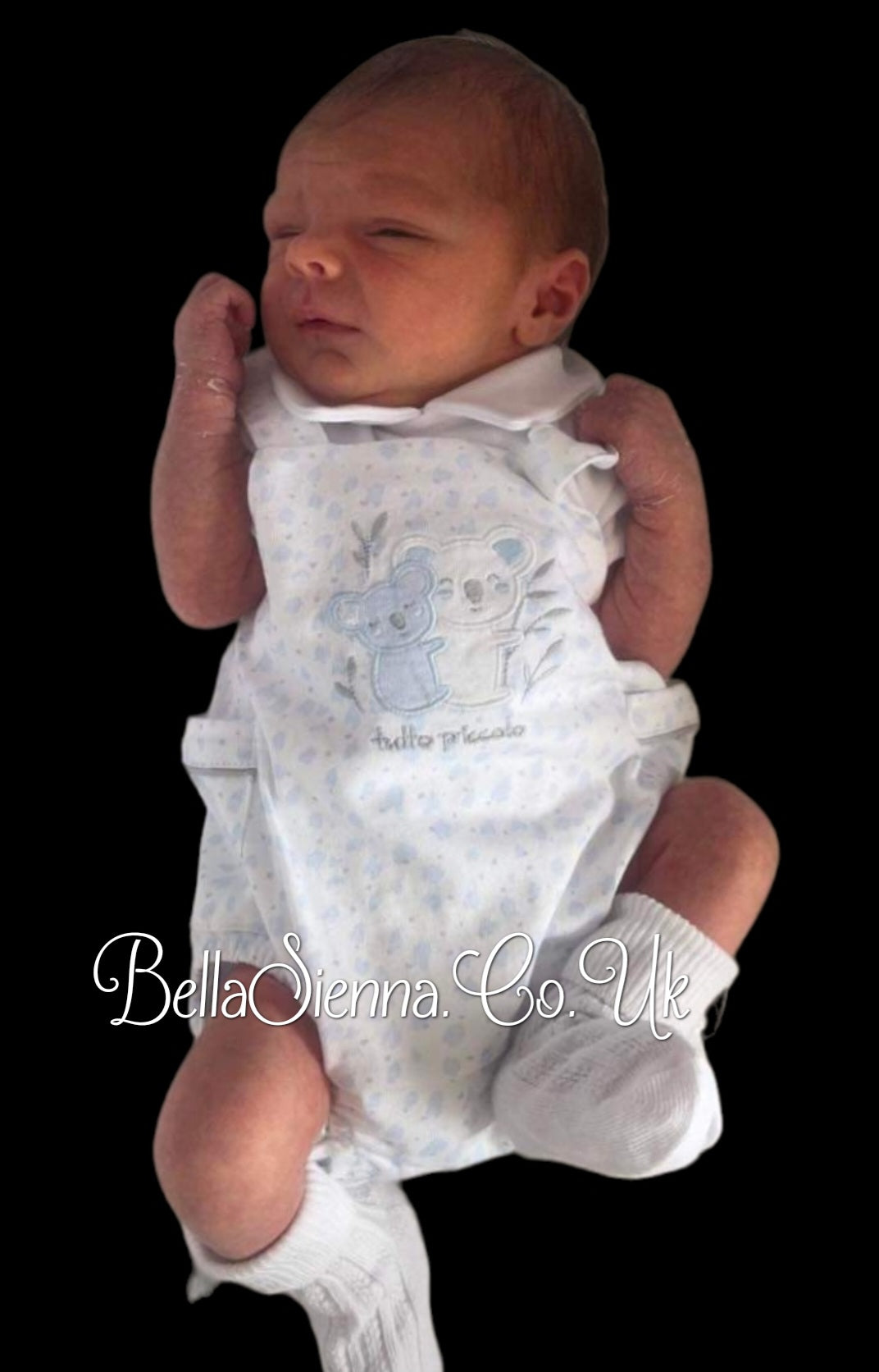 Tutto Piccolo Boys Koala Bear Romper - 3383