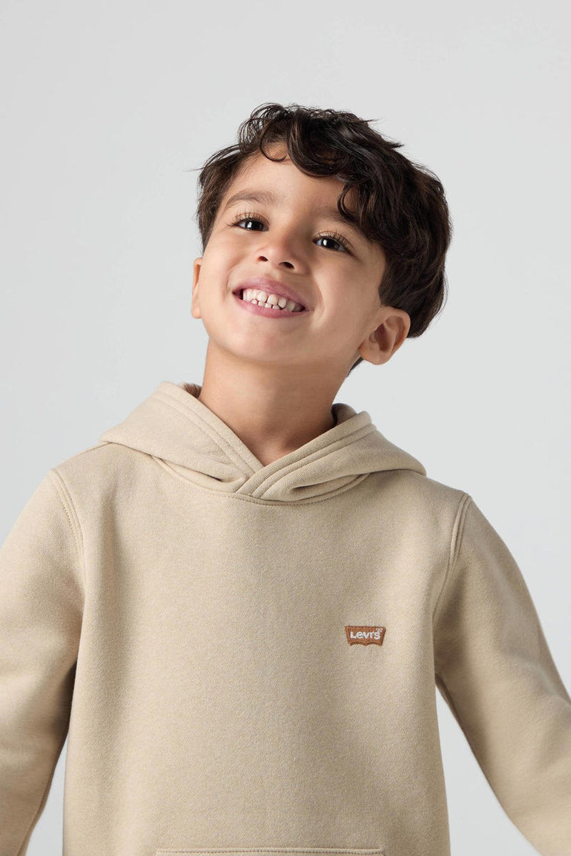 Levi's Kids White Pepper Hoodie Jumper - 8EL452-GAB