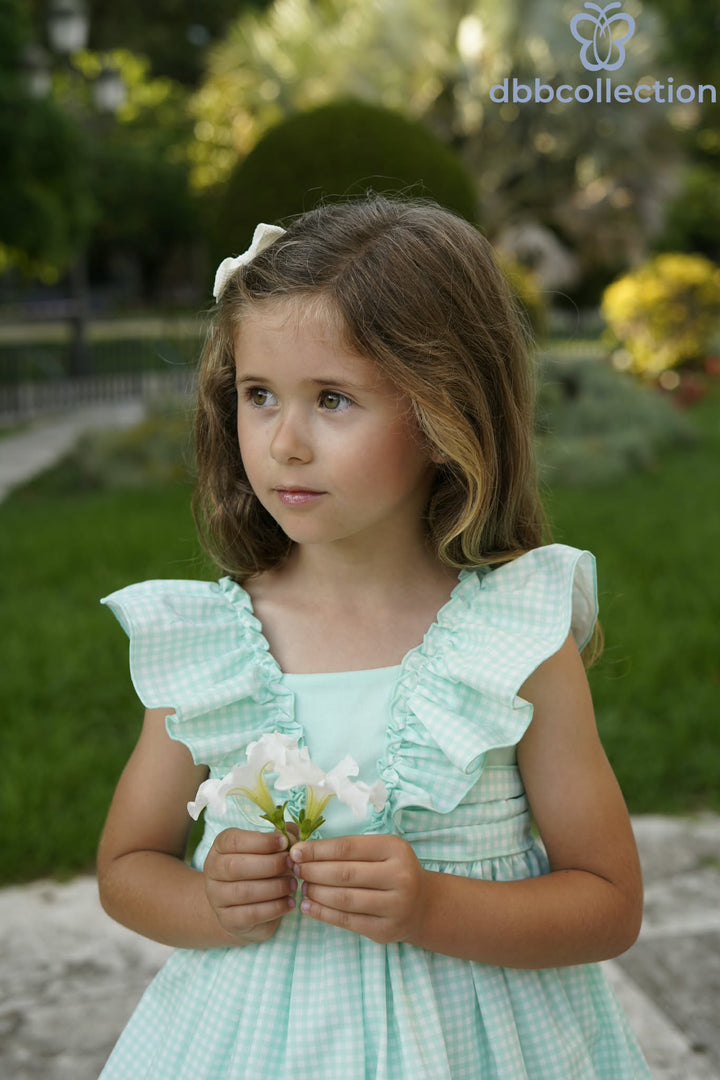 Dbb Collection Girls Mint Gingham Dress With Big Bow - 27618