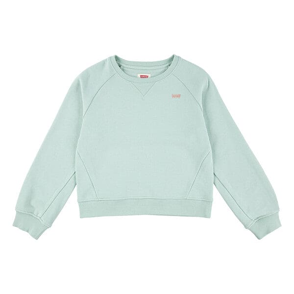 Levi's Girls Light Green Batwing Sweatshirt - 4EM191-C11