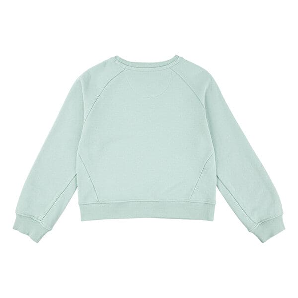 Levi's Girls Light Green Batwing Sweatshirt - 4EM191-C11