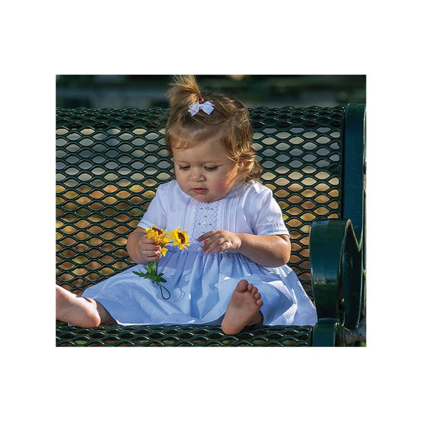 Sarah Louise Baby Girls White And Blue Gingham Smocked Dress