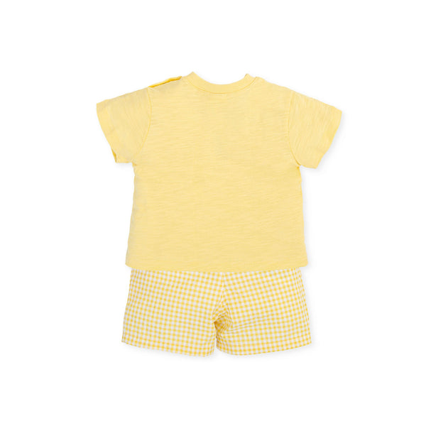 Tutto Piccolo Yellow Shorts & T-shirt Set - 3481