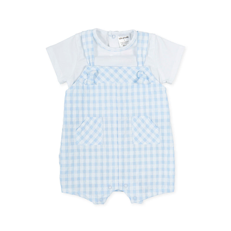 Tutto Piccolo Baby Boys Pale Blue Gingham Shortie Romper 1280