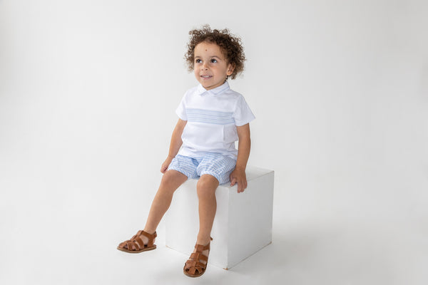 Blues Baby Boys Seersucker Stripe Shorts Set With Smock Detail - BB0320