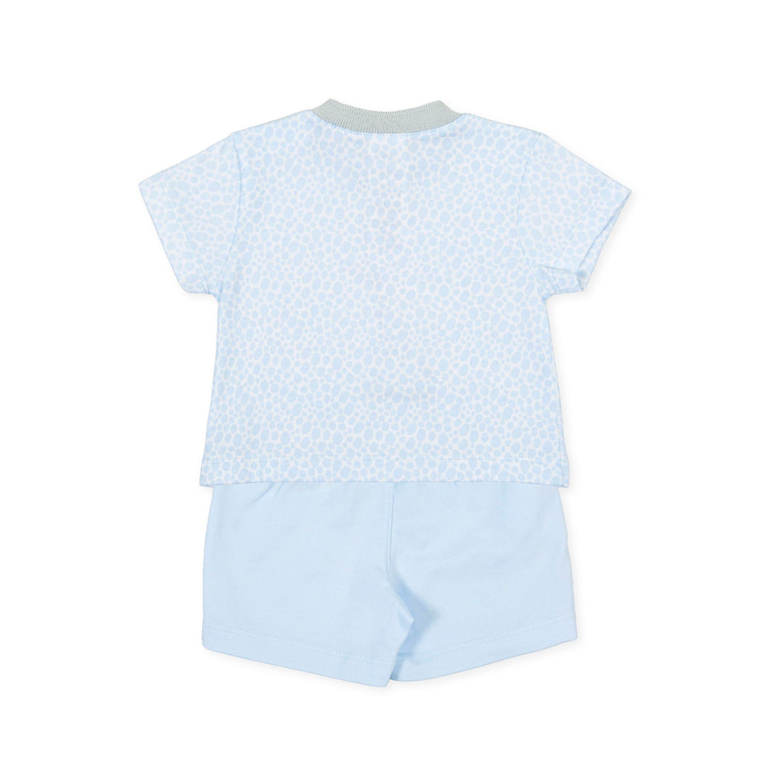 Tutto Piccolo Baby Boys Two Piece Set 1589