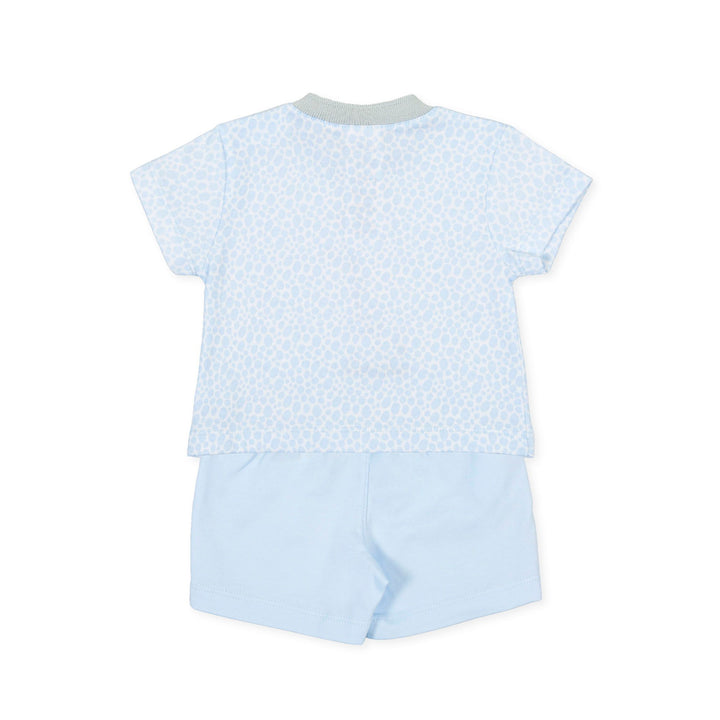 Tutto Piccolo Baby Boys Two Piece Set 1589